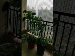 Unobstructed View Balcony Grilles with 100kg Capacity Balcony Invisible Grille