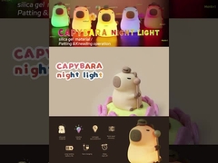 Cute Night Light Lamp