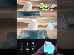 Cute Night Light Lamp