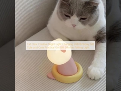 Cat Claw Creative Night Light Charging USB Birthday Gift Cute and Cute Practical Girl Gift Silicone Patting Light