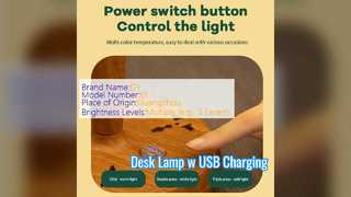 Chargeable Desk Lamp USB Port Study Bedroom Light