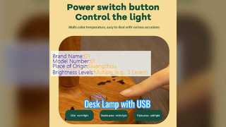 Chargeable LED Desk Lamp USB Port