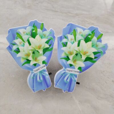 Plug in Night Light LED Light Source Type Multiple Indoor Bedrooms and Hallways