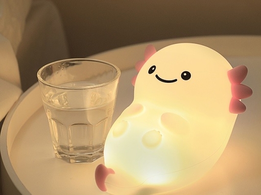 Customize Your Lighting With Adjustable Brightness Night Light 4H Charging Time