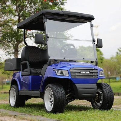48V Electric Golf Cart 2 Seats with 80km Range
