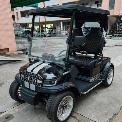 48V Electric Golf Cart 2 Seats 80km Range 30% Gradeability