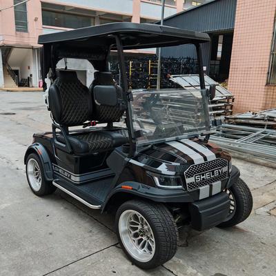 48V Electric Golf Cart 2 Seats 80km Range 30% Gradeability