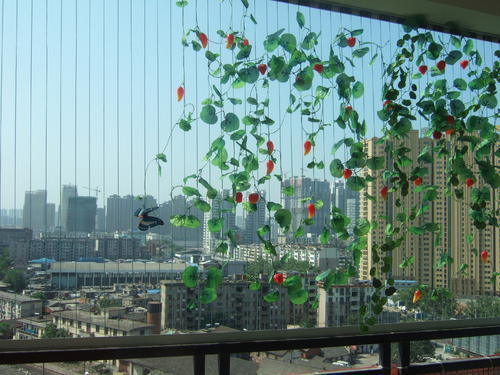 Invisible Grille Flower Pot Clip Crossing Model Type AG3-1.6mm Ideal for in High Rise Buildings and Urban Safety Applications