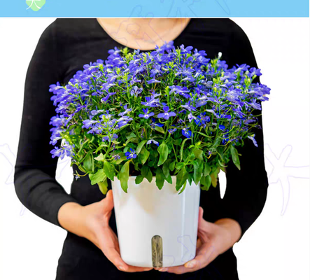 Invisible Grill  Flower Pot Accessories Middle Size Durable Perfect For Balcony Invisible Grille Wire