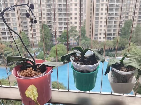 Invisible Grill  Flower Pot Accessories Middle Size Durable Perfect For Balcony Invisible Grille Wire