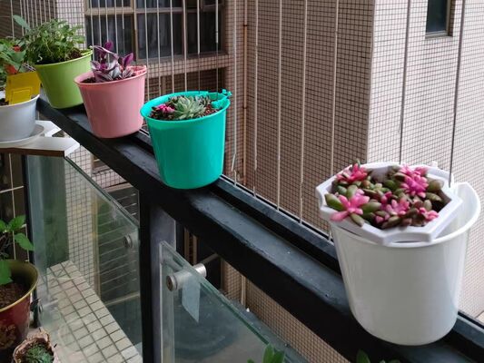 Invisible Grille Flower Pot Clip Crossing 2.5mm Wire 2.0mm Fastening Clip for Industrial Wire Mesh and Assembly Projects