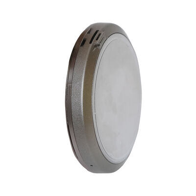 Aluminum Alloy Sandblasted Portable Bluetooth Speaker