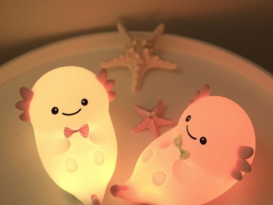 Customize Your Lighting With Adjustable Brightness Night Light 4H Charging Time